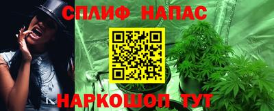 прущие грибы Пушкино