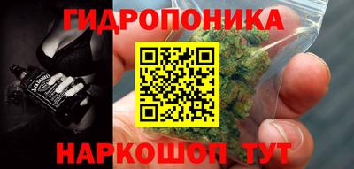 молекула духа Пугачёв