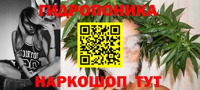 молекула духа Пугачёв