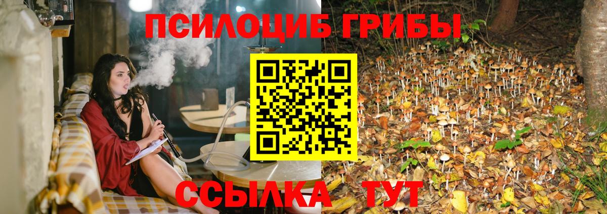 Псилоцибиновые грибы Magic Shrooms Ростов-на-Дону
