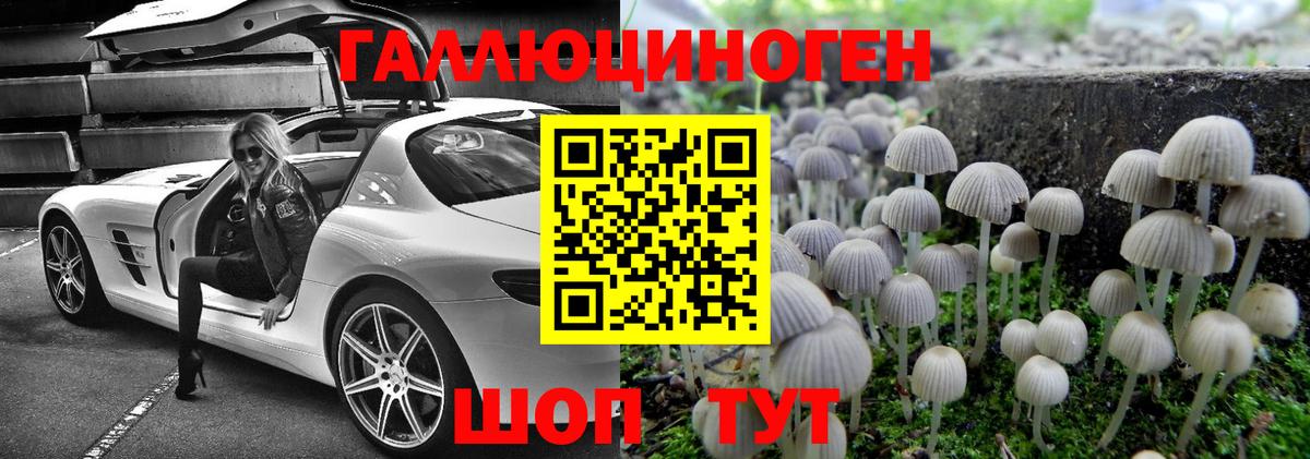 как найти закладки  Псилоцибиновые грибы Psilocybine cubensis  Вход с VPN  Ростов-на-Дону 